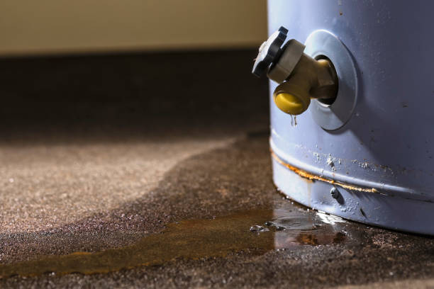 Professional Water damage restoration in Archbold, OH