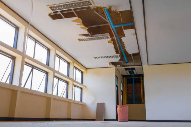 Best Fire Damage Restoration  in Archbold, OH