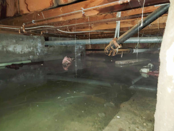Best Water damage restoration near me  in Archbold, OH