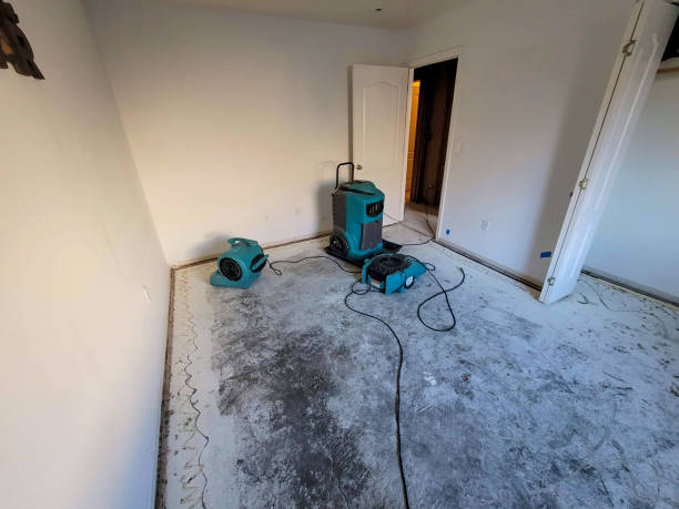 Best Emergency water damage restoration  in Archbold, OH