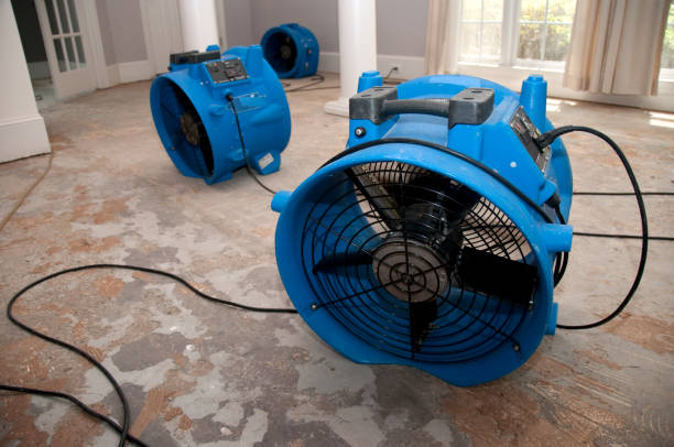 Best Carpet water damage restoration  in Archbold, OH