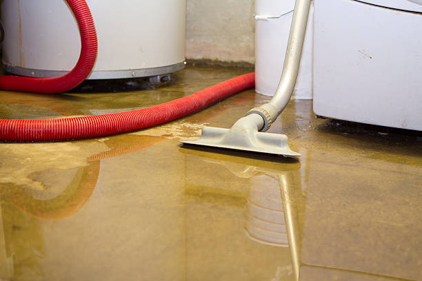 Best Water damage restoration process  in Archbold, OH