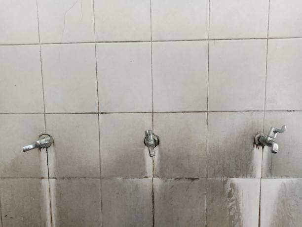 Best Residential water damage restoration  in Archbold, OH