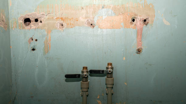 Best Water damage contractors near me  in Archbold, OH