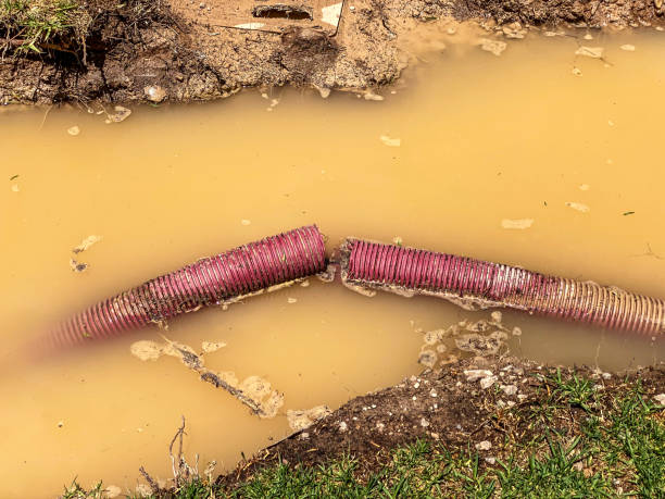 Local water damage restoration in Archbold, OH