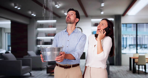 Best Water damage restoration specialists  in Archbold, OH