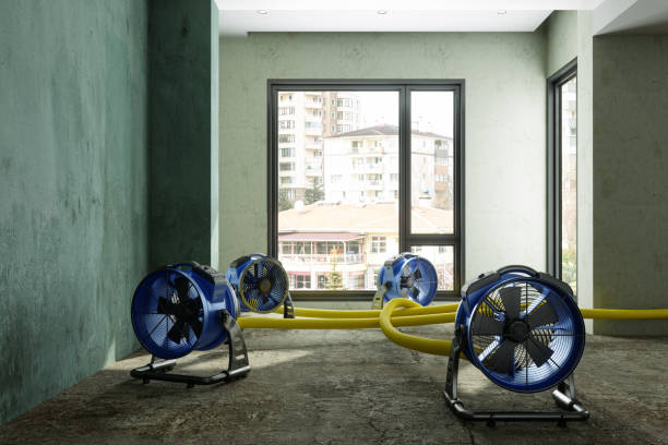 Best Basement water damage restoration  in Archbold, OH